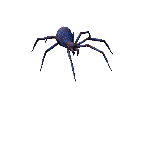 spider rgl_02